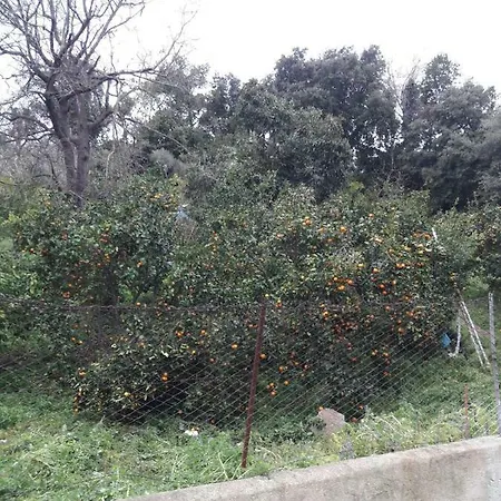 Nyaraló Sweet Rodi